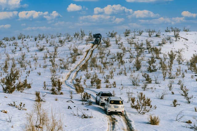 Conduite sécurisée en hiver