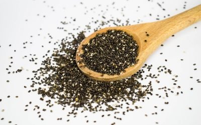 Les graines de chia
