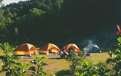 Le camping en pleine nature